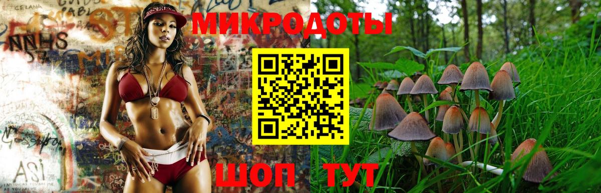 Псилоцибиновые грибы Magic Shrooms  Вход с VPN  Нижний Новгород 